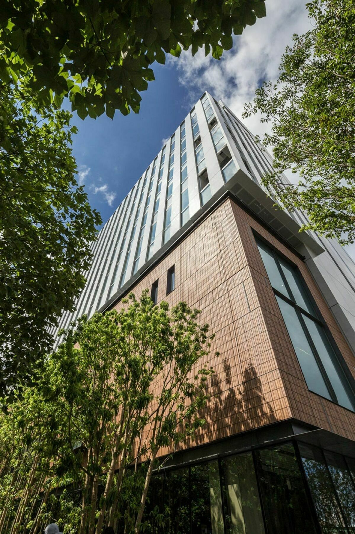 Nihon Seinenkan Hotel Tokyo Dış mekan fotoğraf